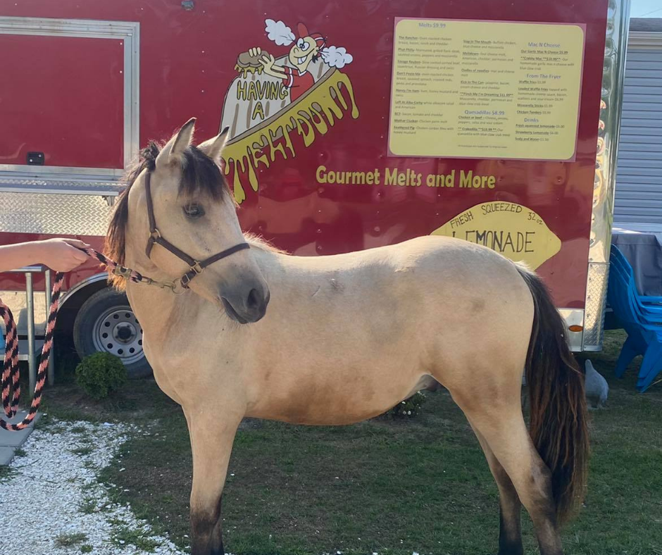 Things To Do Having A Meltdown